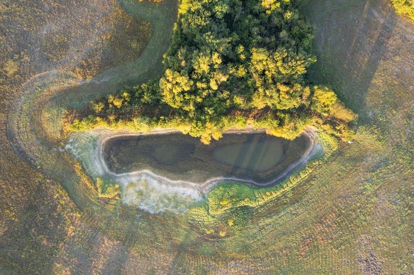 Lamar County- 93 acre reshoot (6 of 38)