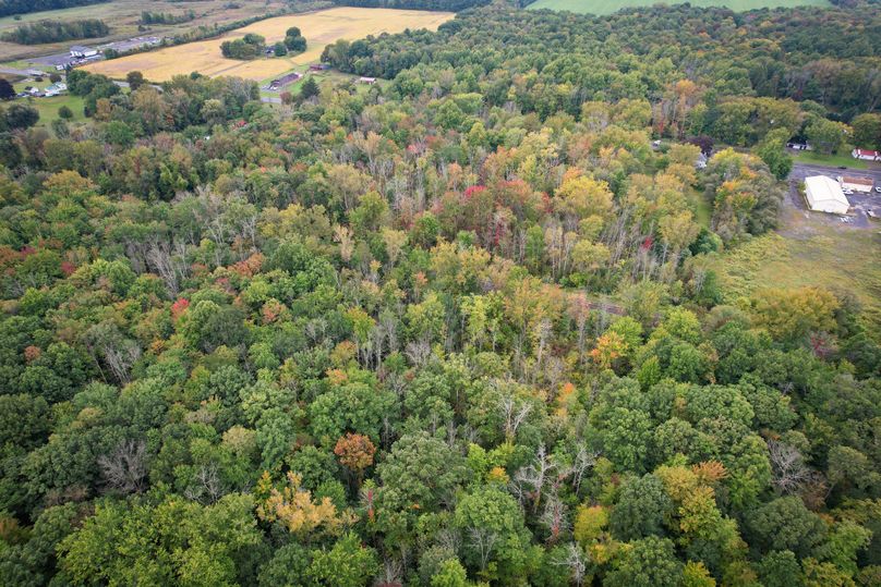 Ontario_16.2_Eddington Photo 8