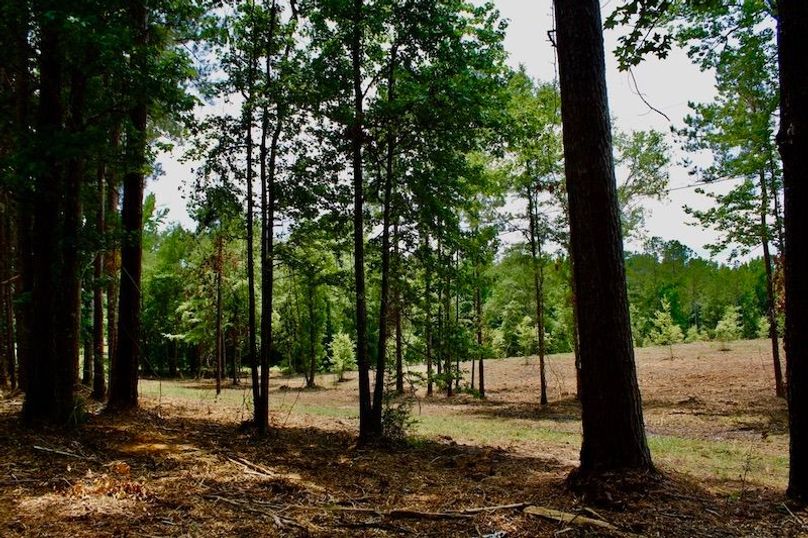 09483C7D-5097-4E1A-BD73-E4543873EF78_1_105_c