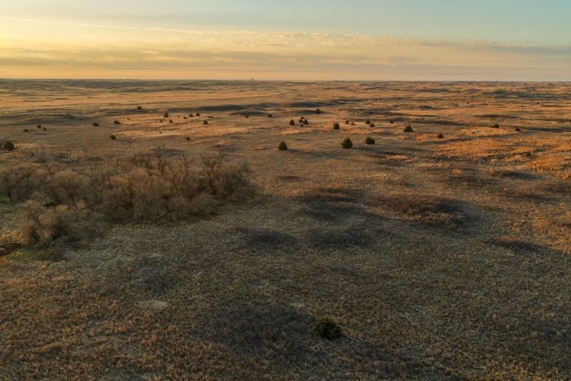 DJI_20260311082017_0525_D