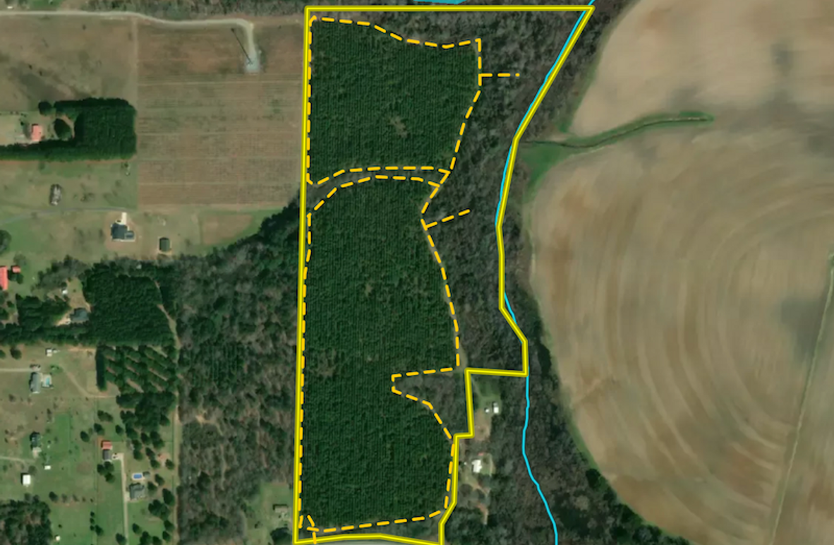 Screenshot 2026-04-03 at 11.29.52 AM