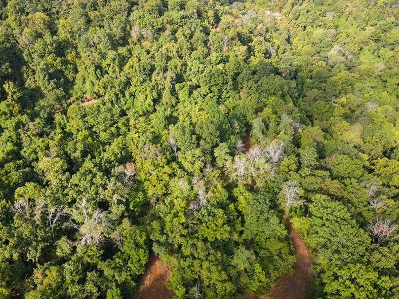 dji_fly_20250826_084018_696_1756215631876_photo