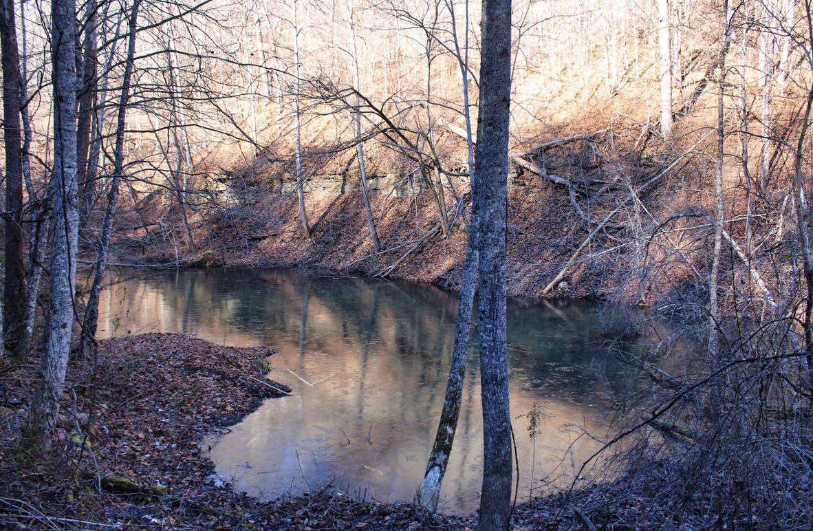 005 shallow pond near the main entrance