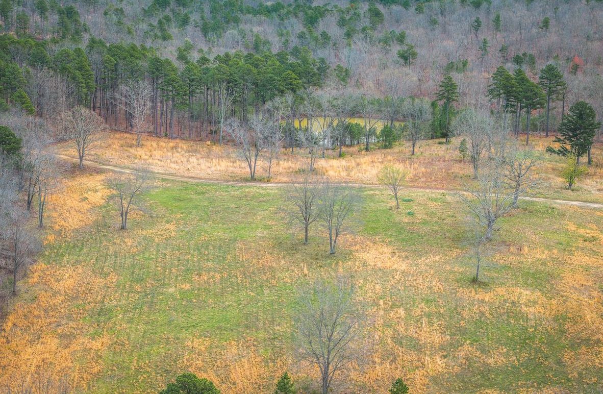 DJI_20250403120041_0555_D