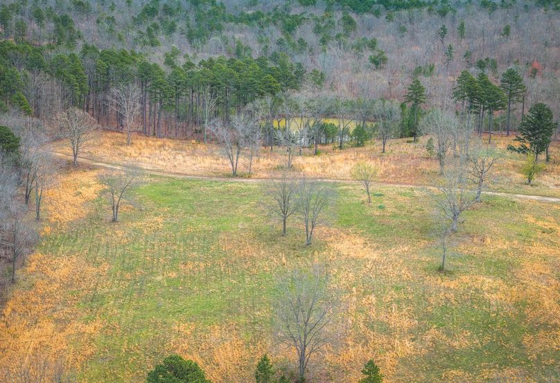 DJI_20250403120041_0555_D