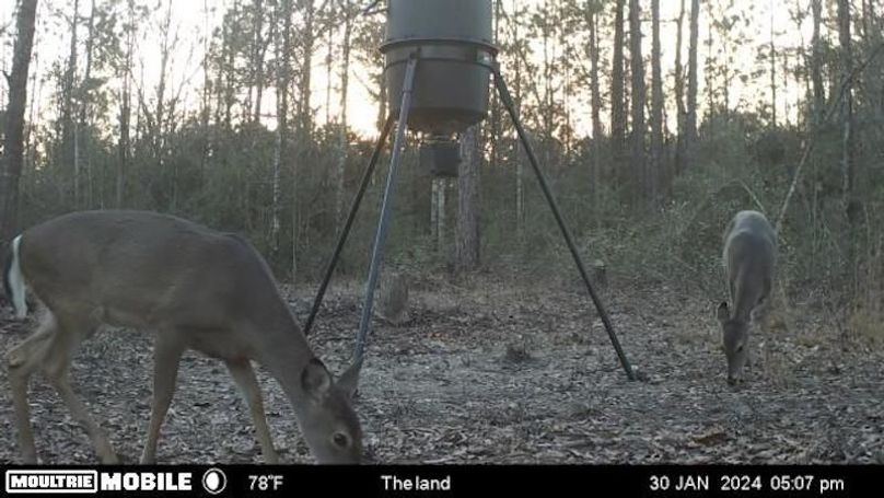 image638476367172003588