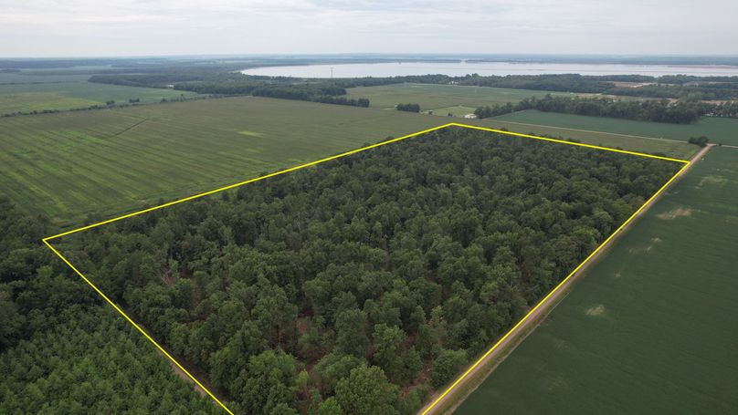 1 Gibson 41 Boundary 