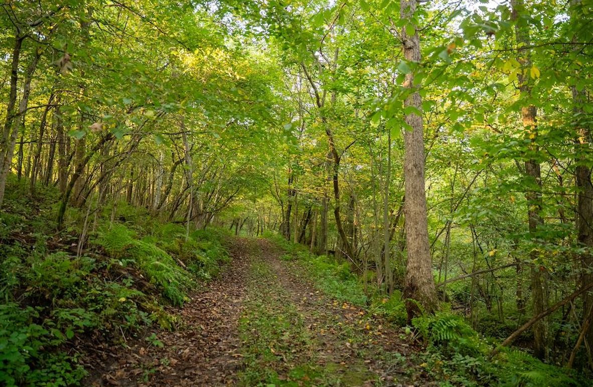 Copy of Winona MN 138 Featured_Pro Photo-18