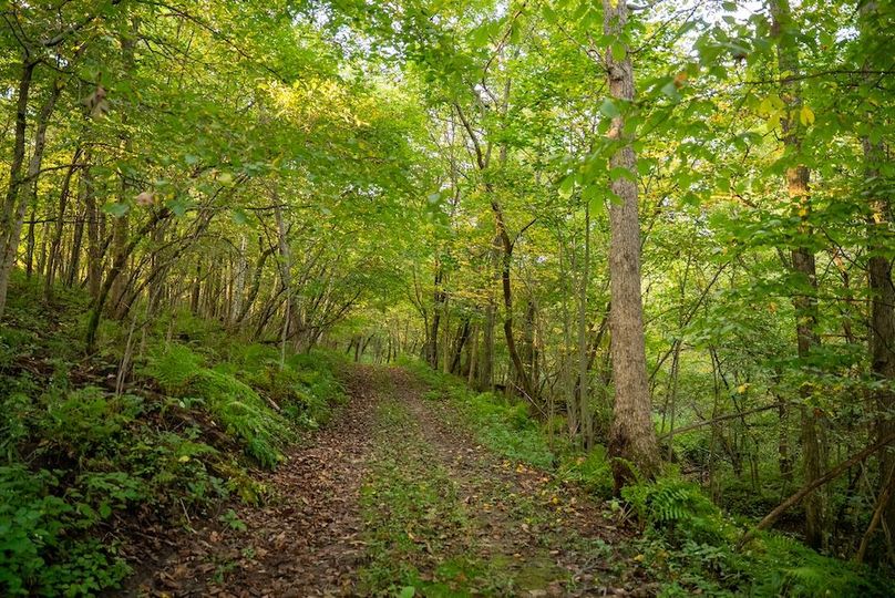 Copy of Winona MN 138 Featured_Pro Photo-18