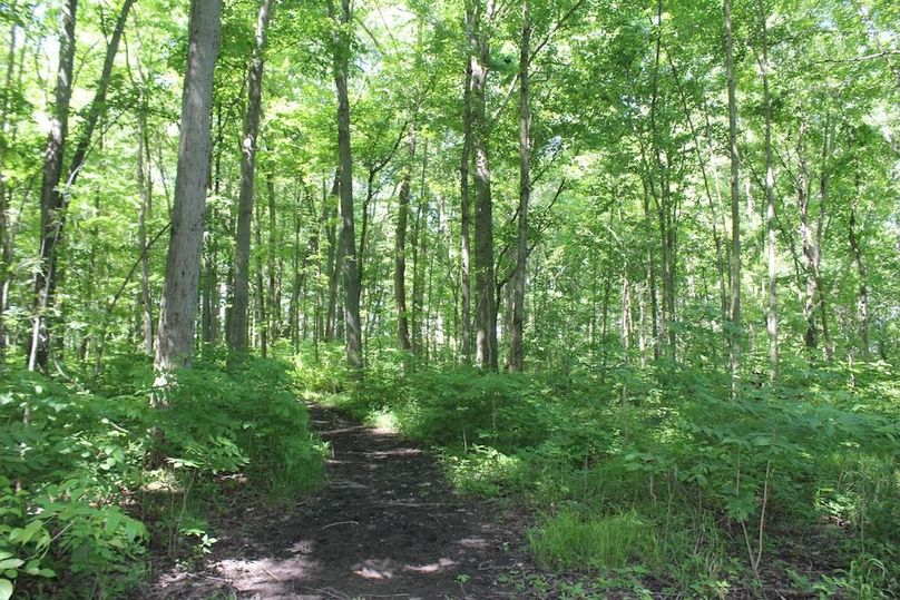 trail 21