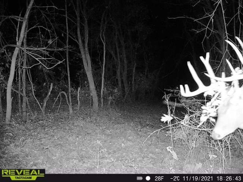 Copy of deer photos.73