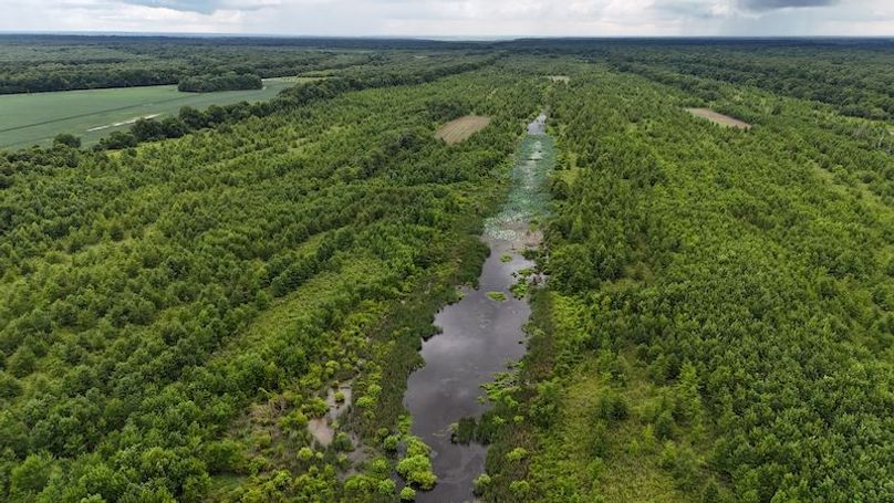 DJI_20240720044426_0013_D