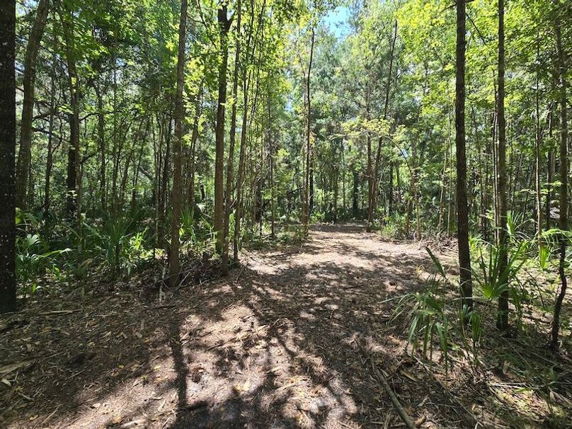 1.01ac, Citrus, Josiah Ronco07