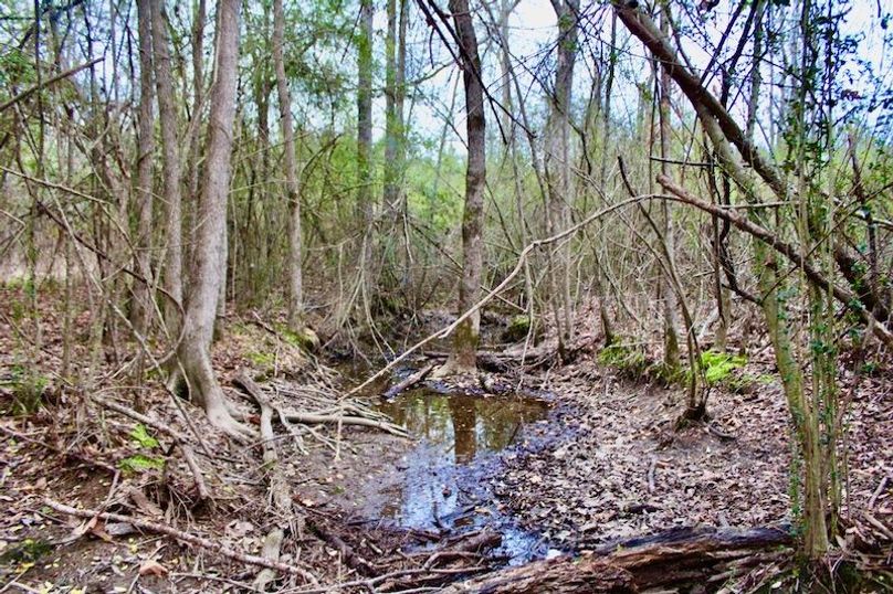 5757EB1C-3699-40F3-BB03-0822D8DE49C4_1_105_c