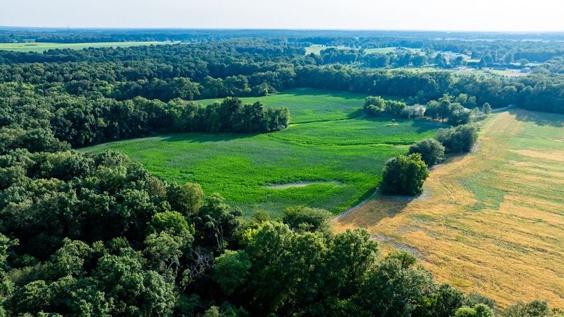 Copy of DJI_20250806052001_0015_D Large