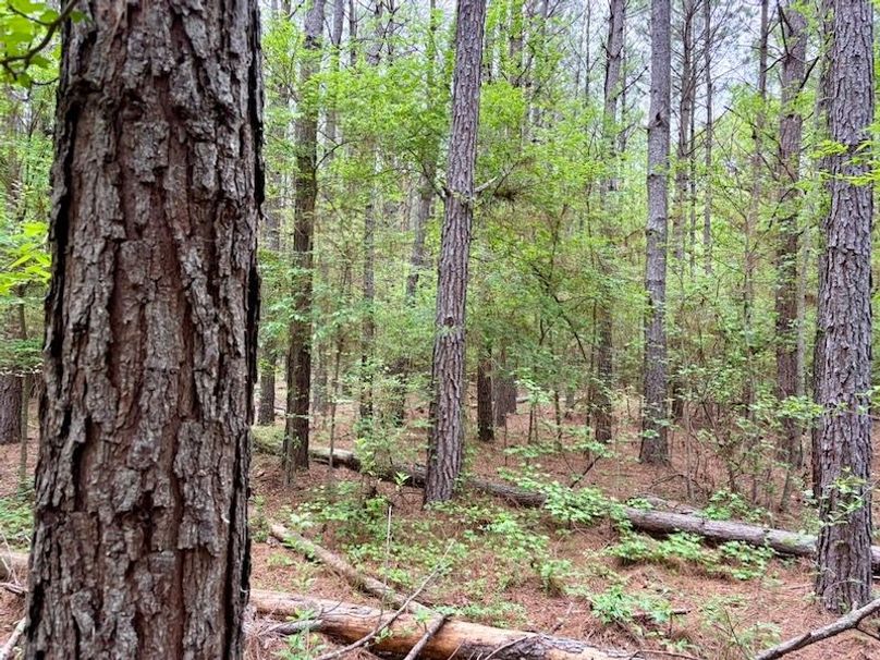 B5DBFD48-5927-4F01-A7AB-D2CA6F169AF9_1_105_c