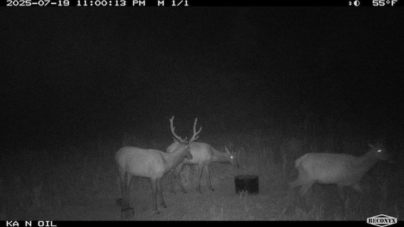 8FF53172-E325-4605-A1F4-176962FA26B5