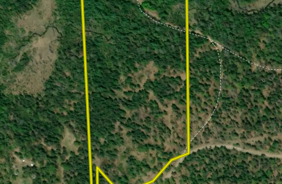 Screenshot 2024-07-25 at 3.42.56 PM