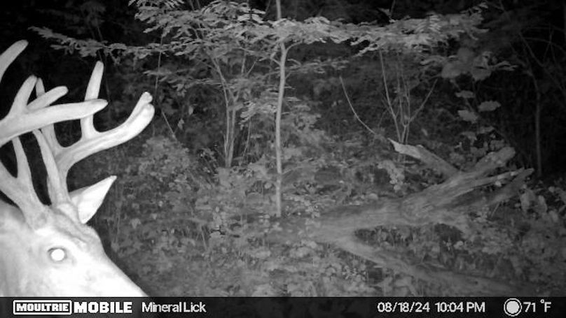 image638602837374870431