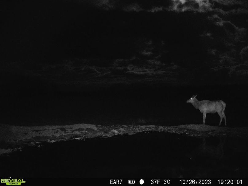 Copy of Copy of 02b3a4f9-5ea8-4888-a060-1f3d4cdce219