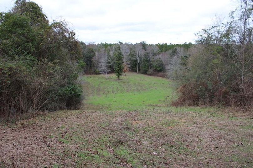 5DC08EB2-700E-4BAD-876C-4BCB122730A0_1_105_c