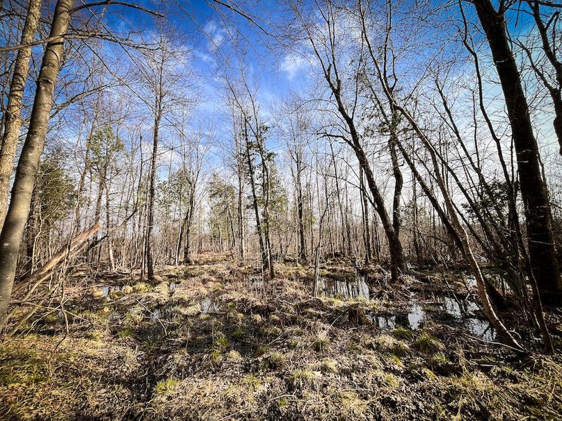 StLawrence_142.7_Bosse_Photos_45