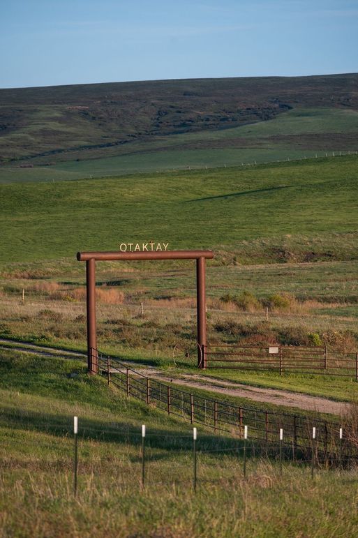 B9904FDC-3AA7-464E-B4B5-E09C6CD06A79