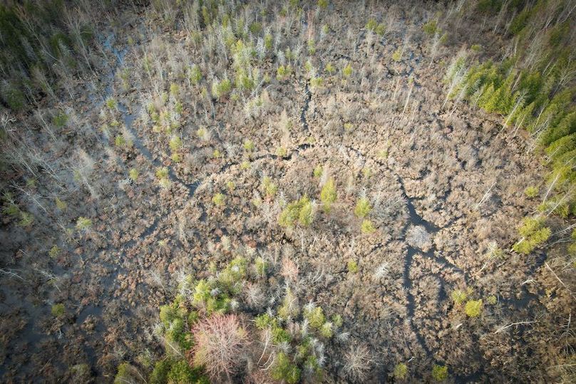 StLawrence_142.7_Bosse_Photos_33