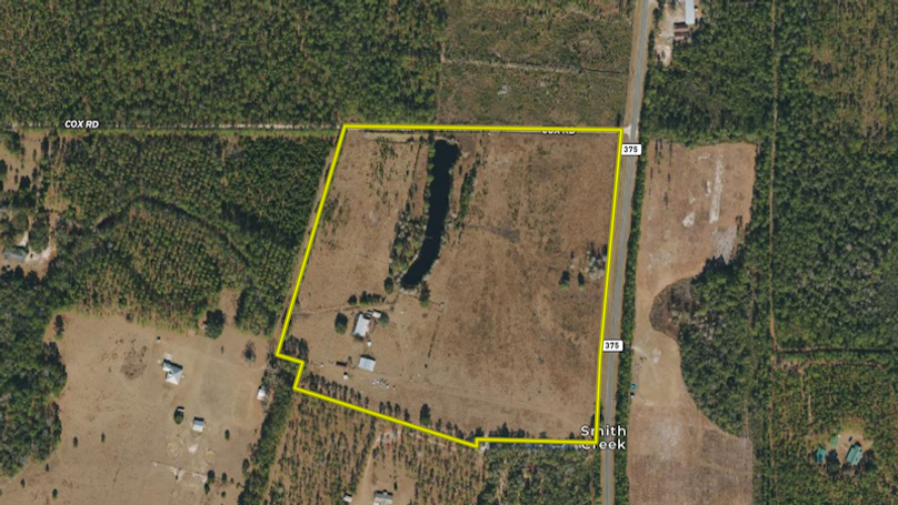 31.25 Wakulla Gomes Aerial # 1