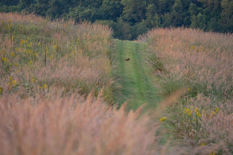 Cedar IA 152 Featured Z36