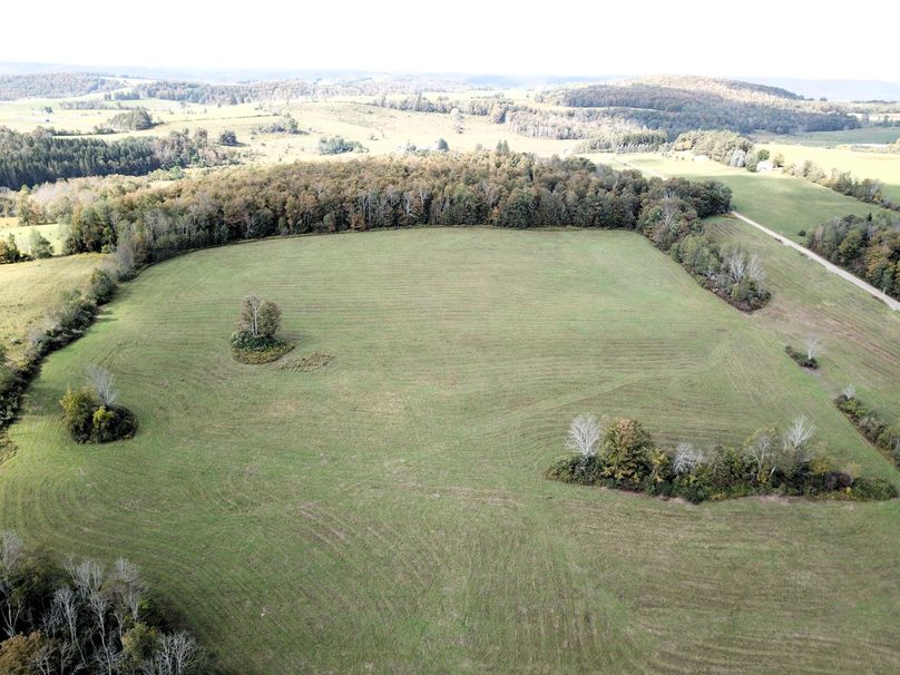 DJI_0010