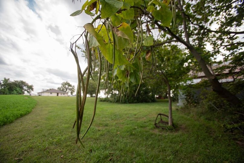 FREMONT CO IA .98+_-_39