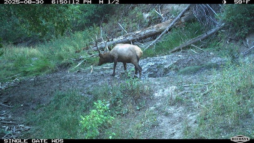 C0FB48A6-F0B4-4951-8063-B3D52F89D952