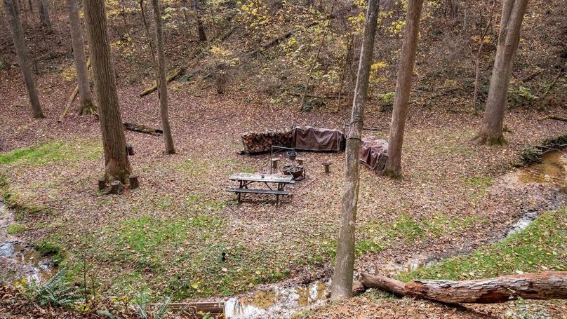 59-z 46585 Morning Star107-2