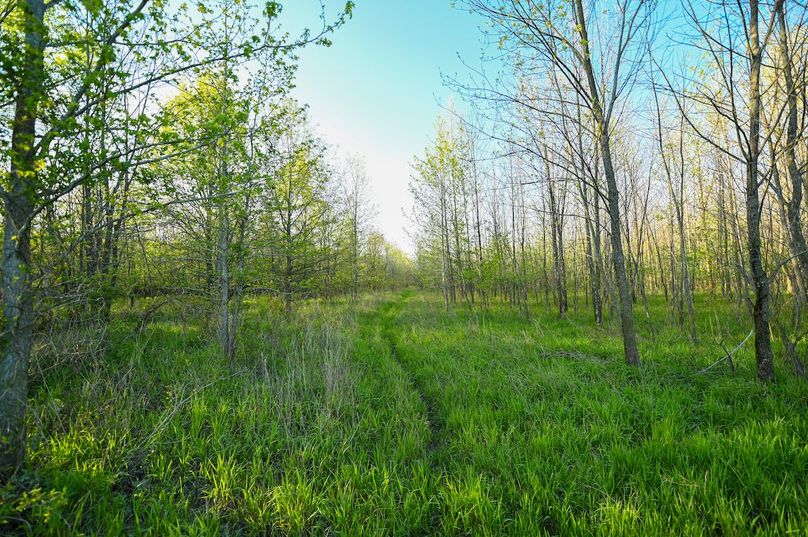 vandalia 450 (2)-2983