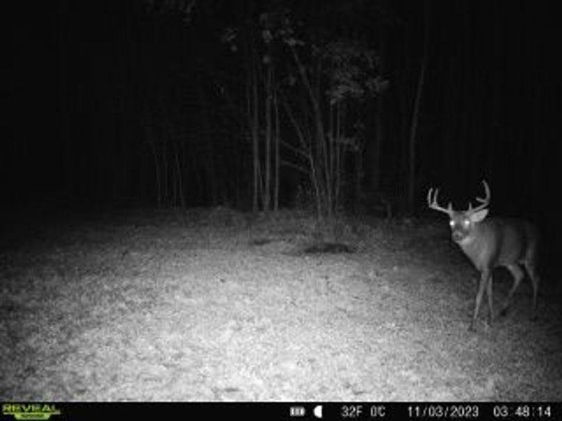 8bc46bd9-5827-4e43-ab41-ee0a2e9160af