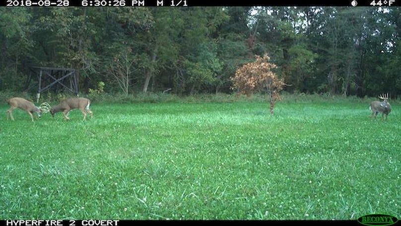 2018-09-28 18-30-26 M 1_1