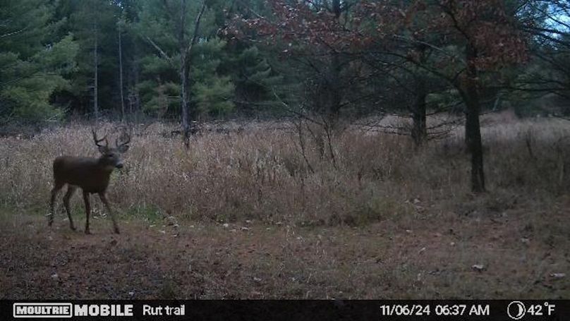 Temp_731870-20241106130825-20241106063753_005003