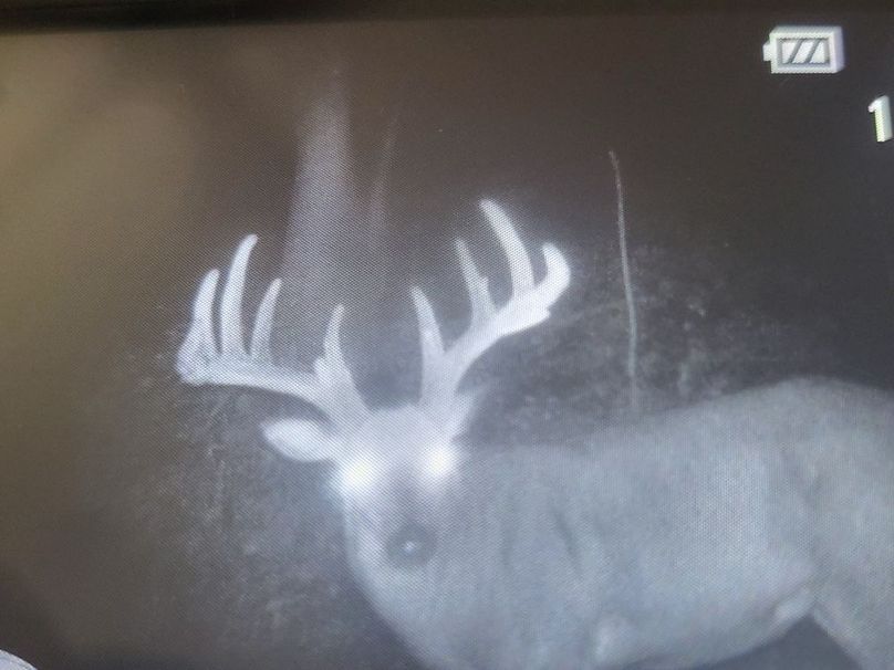 Copy of Trailcam10
