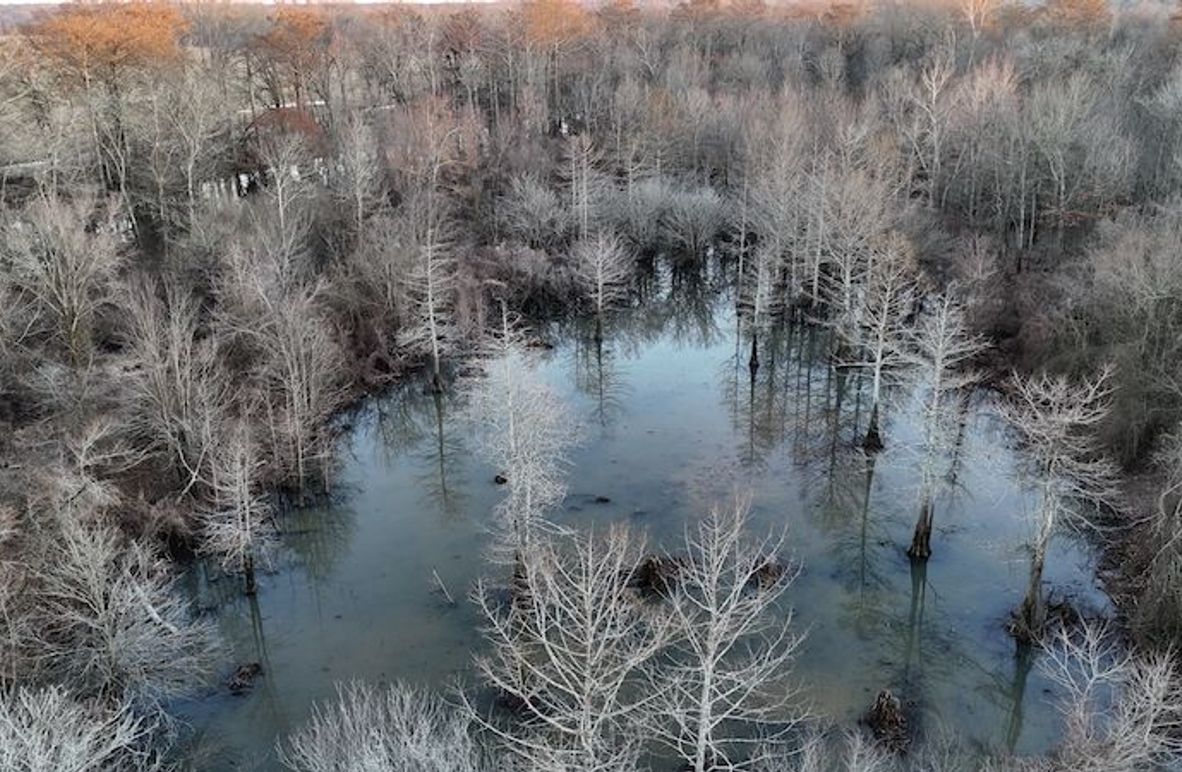 311 new20260217_0451