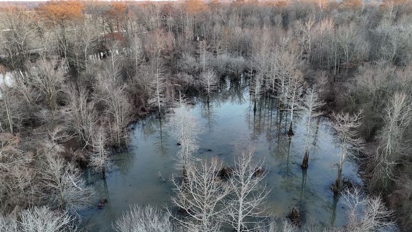 311 new20260217_0451