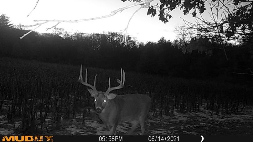 Sauk 174 Trailcam - 53