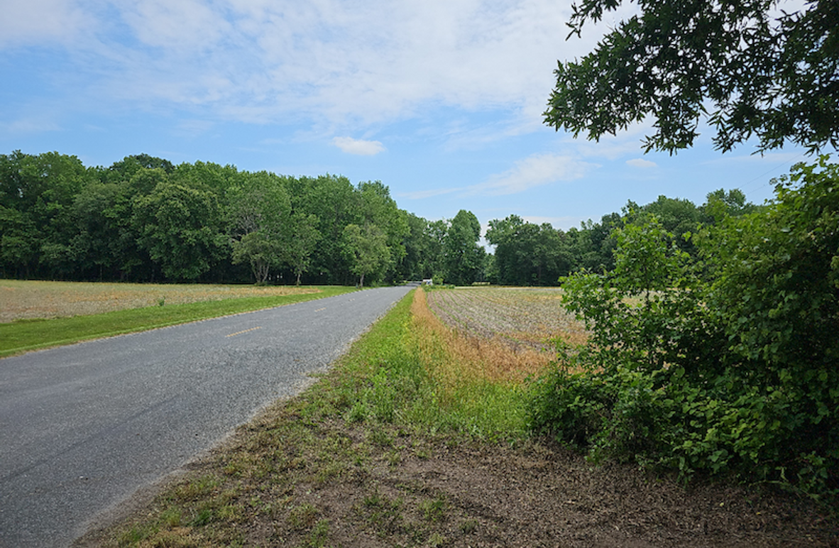 37.98ac_TempleRd_BGORE_04_driveway