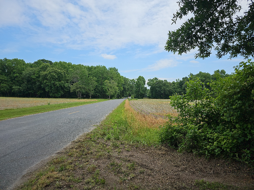 37.98ac_TempleRd_BGORE_04_driveway