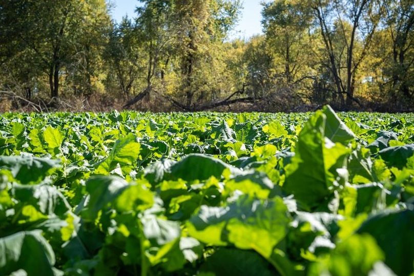 20241028_160351_AC0D25