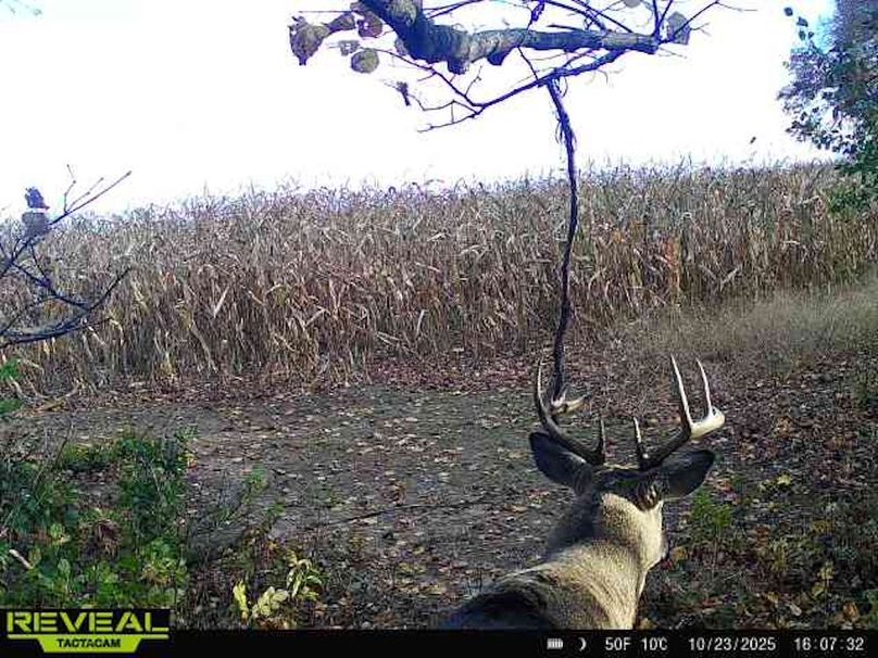 865814043293958-100-3-10232025160732-W1002359