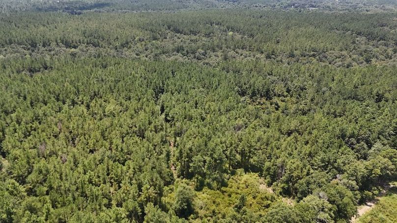 DJI_20240812131302_0013_D