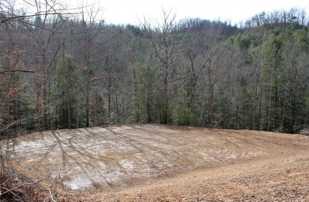 004 cabin or RV site, just a little ways into the property at the south end