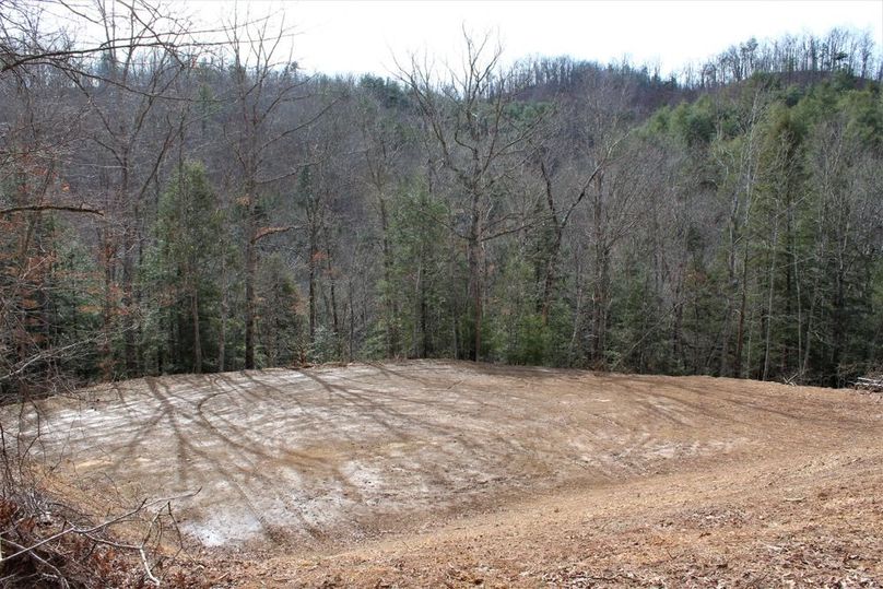 004 cabin or RV site, just a little ways into the property at the south end