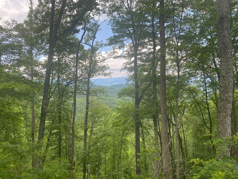 Swain 39 Tysinger-03